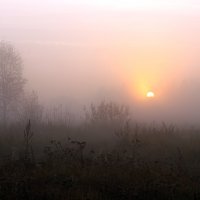 Восход солнца :: Алевтина 
