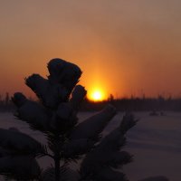 Морозный закат :: Иван Белоглазов