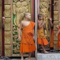 Изменчивое настроение маленького монаха, Вьентьян, ЛаоНДР :: tbn 