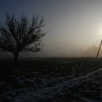 туман :: Павел WerwolF