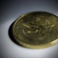 монета 3 :: Темновест Болотный