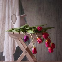 С тюльпанами и кувшином :: Светлана Л.