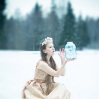 новогодняя сказка :: Лена Балашова