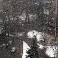 Снег-Снежок в Январе. :: Михаил 