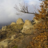 Осенние краски в Январе :: Геннадий Вали