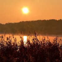 Рассвет на озере... :: Андрей Зелёный