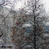 Снегопад :: Алёна Naru-chan