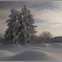 Зимний вечер :: Владимир Тюменцев