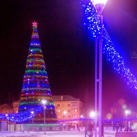 Фотограф Верхняя Пышма :: Галина Данильчева