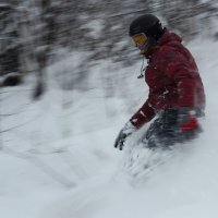 Снежный день :: Радмир Арсеньев