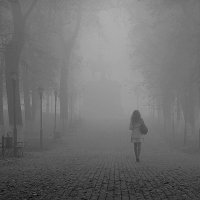 Входящая в туман! :: Владимир Шошин
