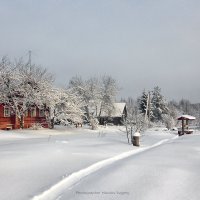 Настоящая зима :: Евгений Мазилов