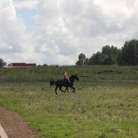 Воронок :: Наталья Золотых-Сибирская