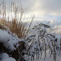 Зима :: Алексей Гладышев