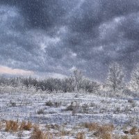 Зима во всей её красе :: Олег Сонин