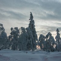 Белогорье :: Павел Козионов