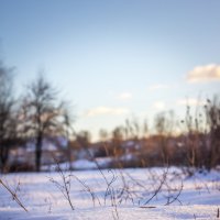 Снежок на огороде :: Артур Моргун