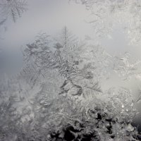 Красивая Зима :: Mariya laimite