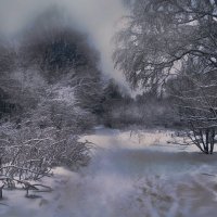 Зимний пейзаж :: Алла Сердюк