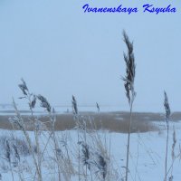 зима :: Оксана Иваненская