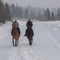 Снегопад :: Виктор Садырин