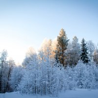 Архангельск :: Наталя Статкевич