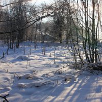 Воскресная прогулка по зиме. Холодный пейзаж. :: Владимир Буравкин