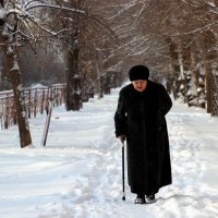 зима :: Валерий Konstantinovich