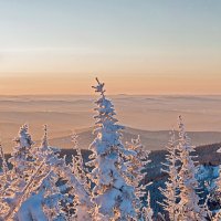 *** :: Валентина Кобзева