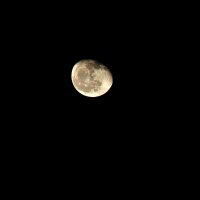 Луна :: Уля Гафт