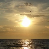 Закат на берегу Японского моря :: Лилия Гиндулина