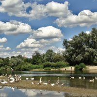 а у реки ... :: Владимир Горбунов