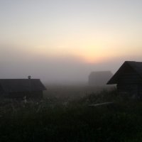 туманное утро :: марина ржаницына 