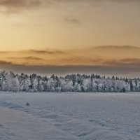 Зимнее спокойствие :: Лана Дмитриева