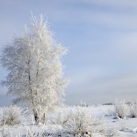 Зима :: Илья Смирнов