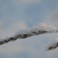 Зима :: Анна Коваленко