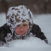 А вот и снег! :: Олег Самотохин