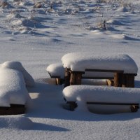 Зима.Снег. :: Сергей Михальченко