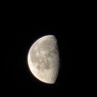 Луна :: Катя Шерабурко