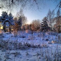Зима :: Наталья Левина