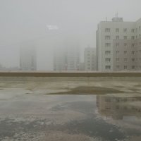 Туман :: Алексей Хвастунов