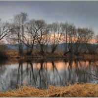 На реке Свислочь :: Елена Ерошевич