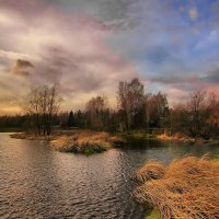 Краски осени. :: Алла Мещерякова