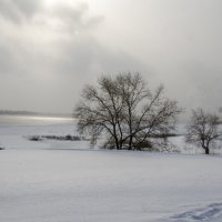 Зима :: Артем Рыженко