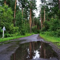 Прошел дождь. :: Владимир Михайлович Дадочкин