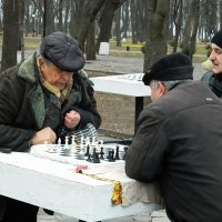 Зимние шахматы :: Александр Бурилов