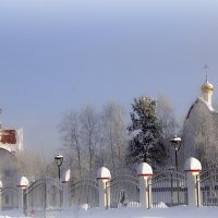 морозный день :: Олег Петрушов