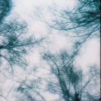 Holga 135 TIM :: Екатерина Анзылова