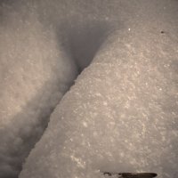 голый  снег :: Дмитрий Потапов