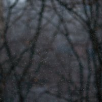 Снегопад :: Екатерина Исаенко